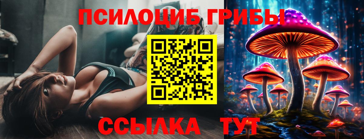 Псилоцибиновые грибы Psilocybe  Вход с VPN  продажа наркотиков  Котлас 