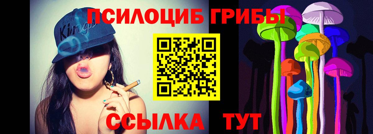 Псилоцибиновые грибы Magic Shrooms Котлас